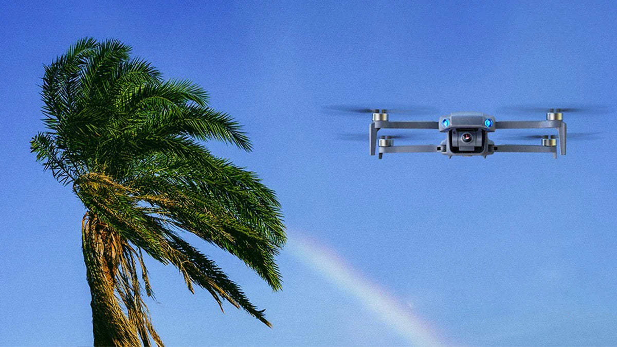 How to Prevent Your Drone From Crashing Into Trees