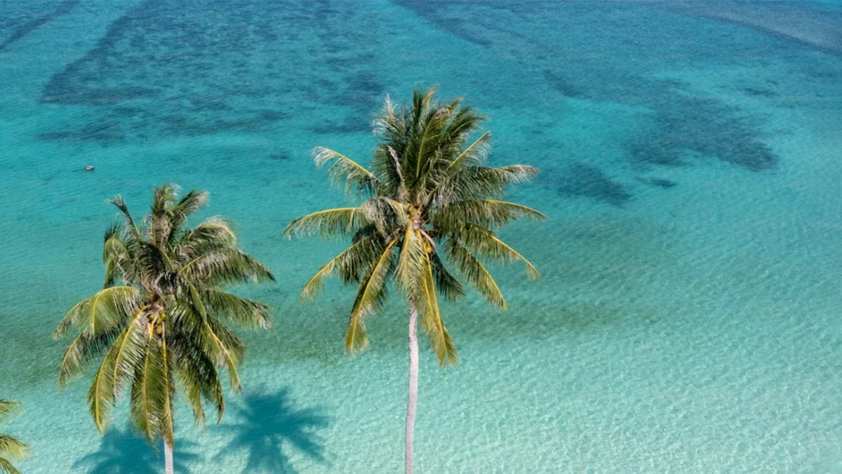 What to Know Before Flying a Drone at the Beach
