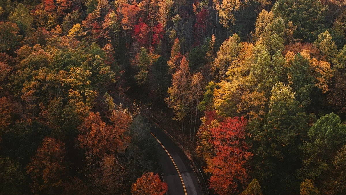 How to Safely Fly a Drone for the First Time