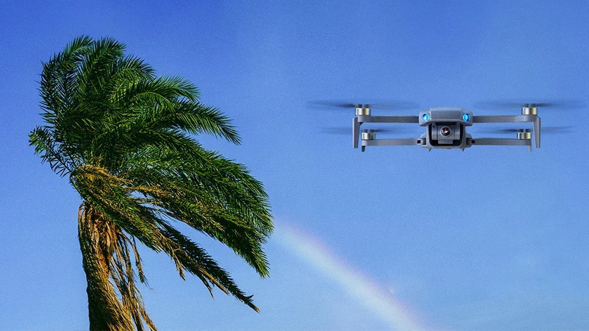 How to Prevent Your Drone From Crashing Into Trees